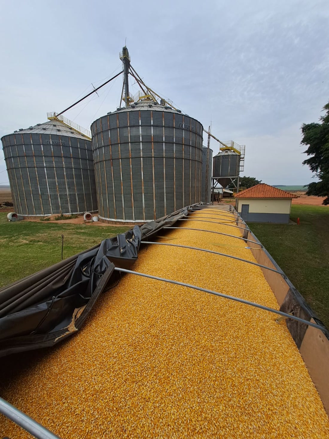 Caminhão carregado de milho junto aos silos